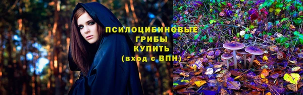 трава Пересвет