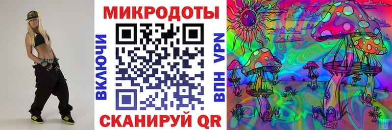 Галлюциногенные грибы Psilocybine cubensis Морозовск