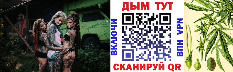 закладка  Морозовск  Конопля индика 